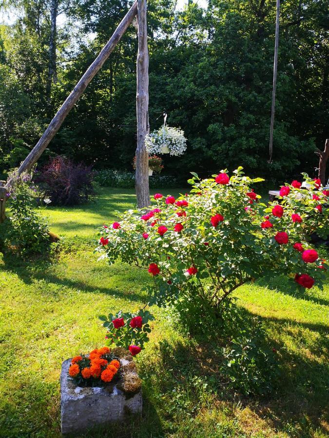 Kotka Farm Hotell Saarekula Exteriör bild