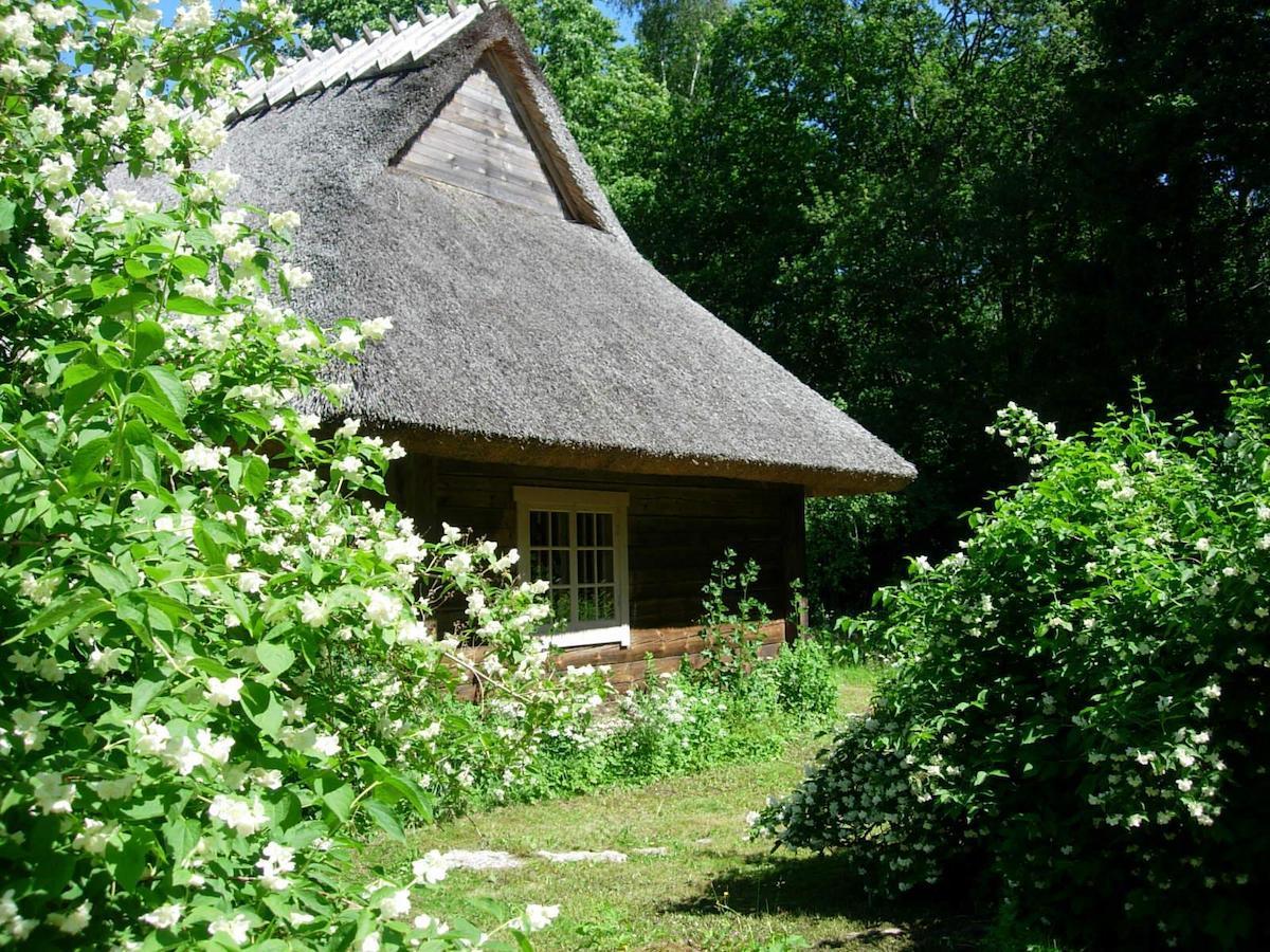 Kotka Farm Hotell Saarekula Exteriör bild