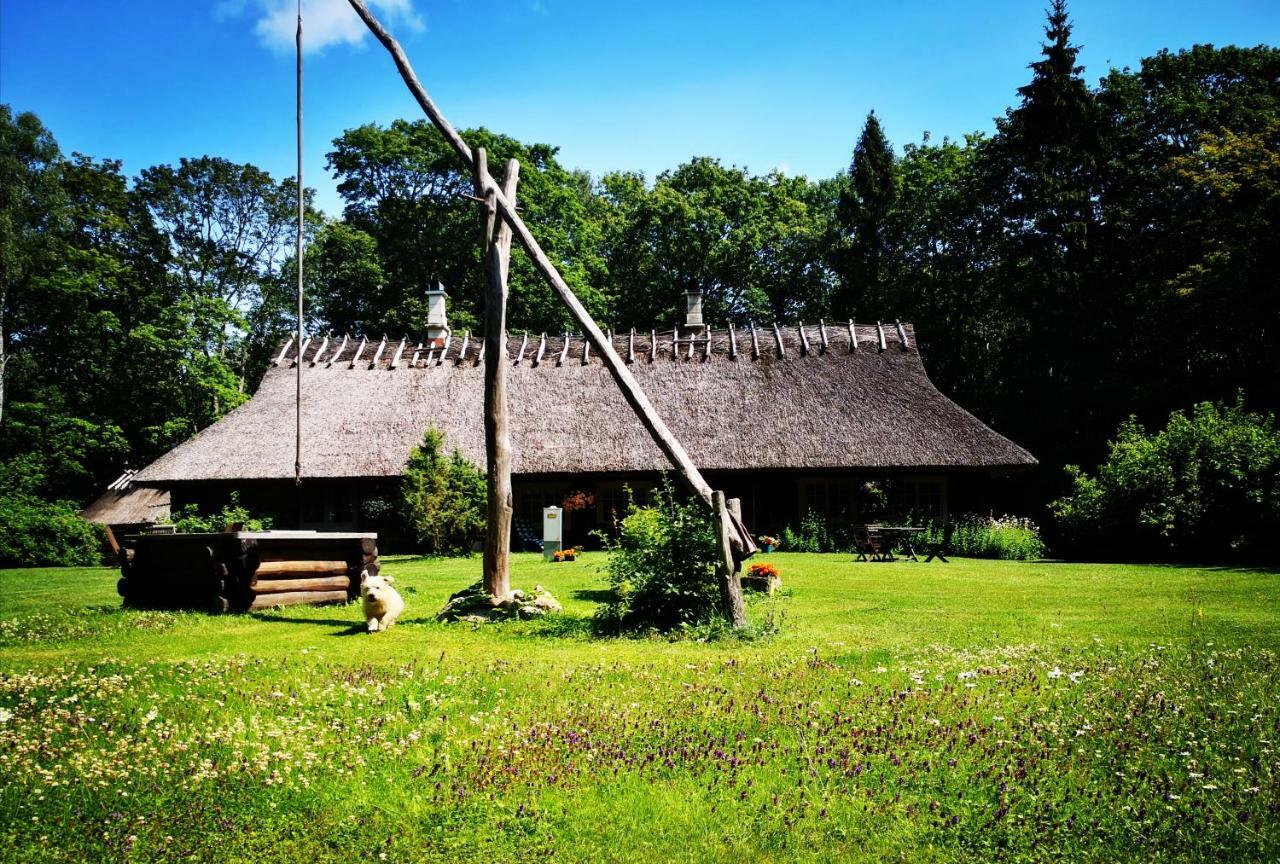 Kotka Farm Hotell Saarekula Exteriör bild